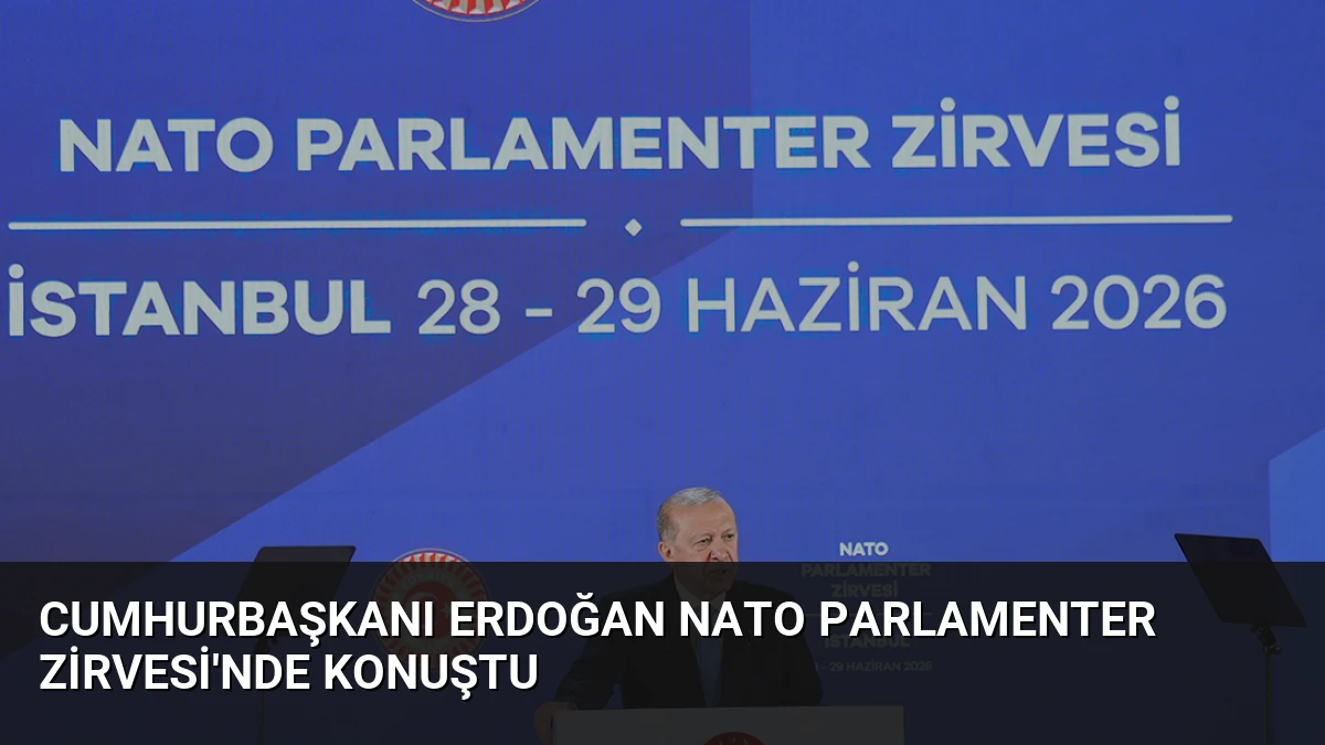 Cumhurbaşkanı Erdoğan NATO Parlamenter Zirvesi’nde konuştu
