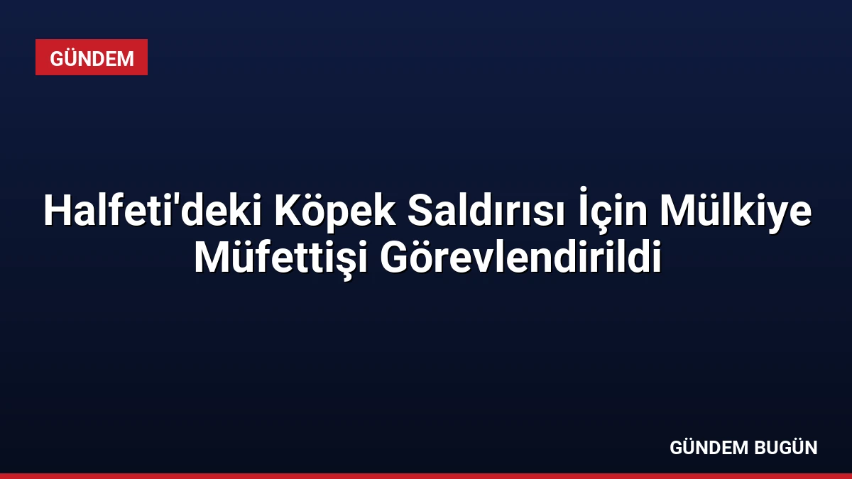 Halfeti’deki Köpek Saldırısı İçin Mülkiye Müfettişi Görevlendirildi