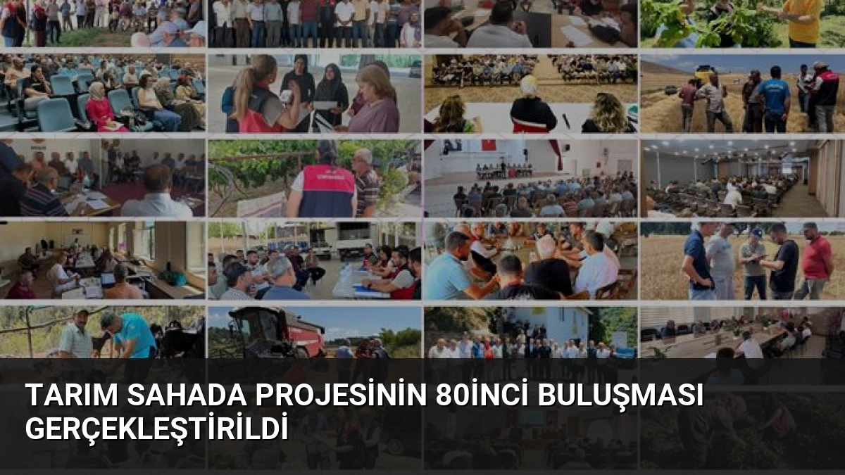 Tarım Sahada projesinin 80inci buluşması gerçekleştirildi