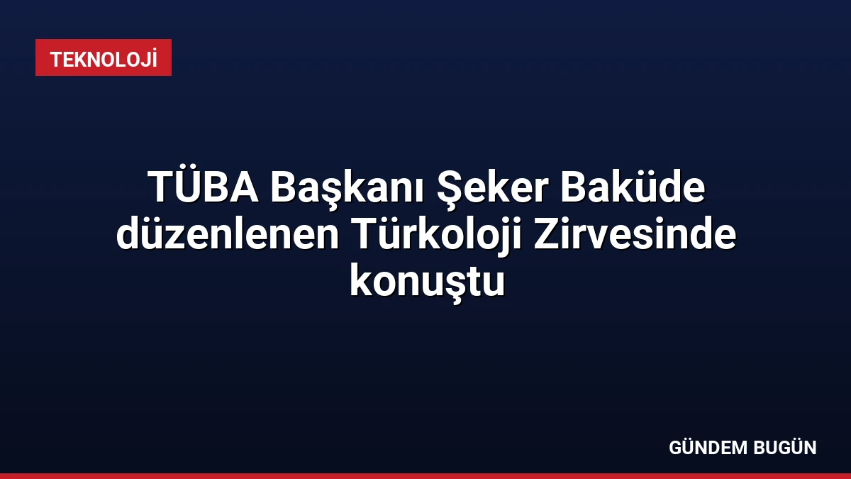 TÜBA Başkanı Şeker Baküde düzenlenen Türkoloji Zirvesinde konuştu