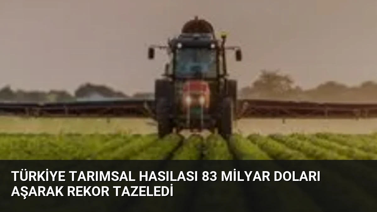 Türkiye Tarımsal Hasılası 83 Milyar Doları Aşarak Rekor Tazeledi