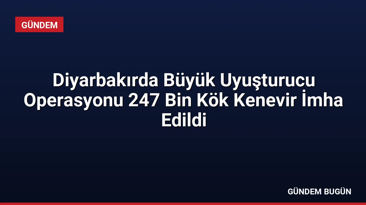Diyarbakırda Büyük Uyuşturucu Operasyonu 247 Bin Kök Kenevir İmha Edildi