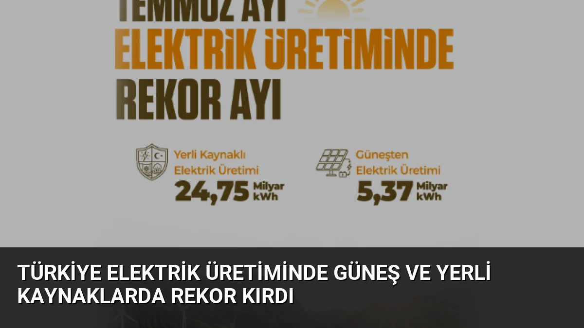 Türkiye Elektrik Üretiminde Güneş ve Yerli Kaynaklarda Rekor Kırdı