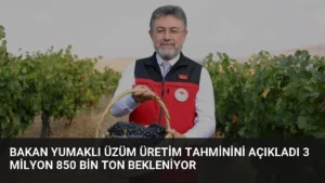 Bakan Yumaklı Üzüm Üretim Tahminini Açıkladı 3 Milyon 850 Bin Ton Bekleniyor