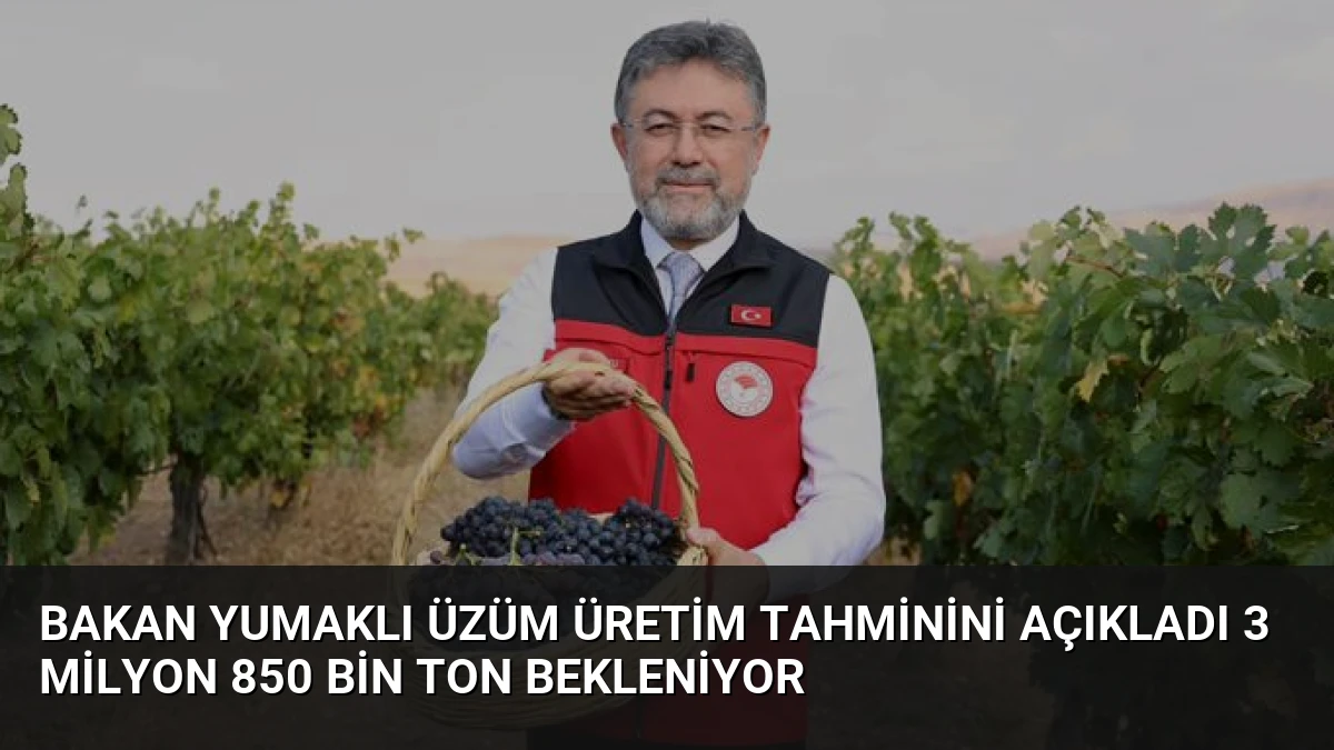 Bakan Yumaklı Üzüm Üretim Tahminini Açıkladı 3 Milyon 850 Bin Ton Bekleniyor