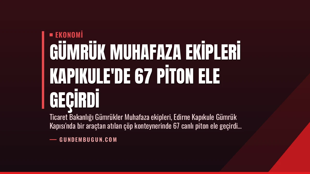 Gümrük Muhafaza Ekipleri Kapıkule’de 67 Piton Ele Geçirdi