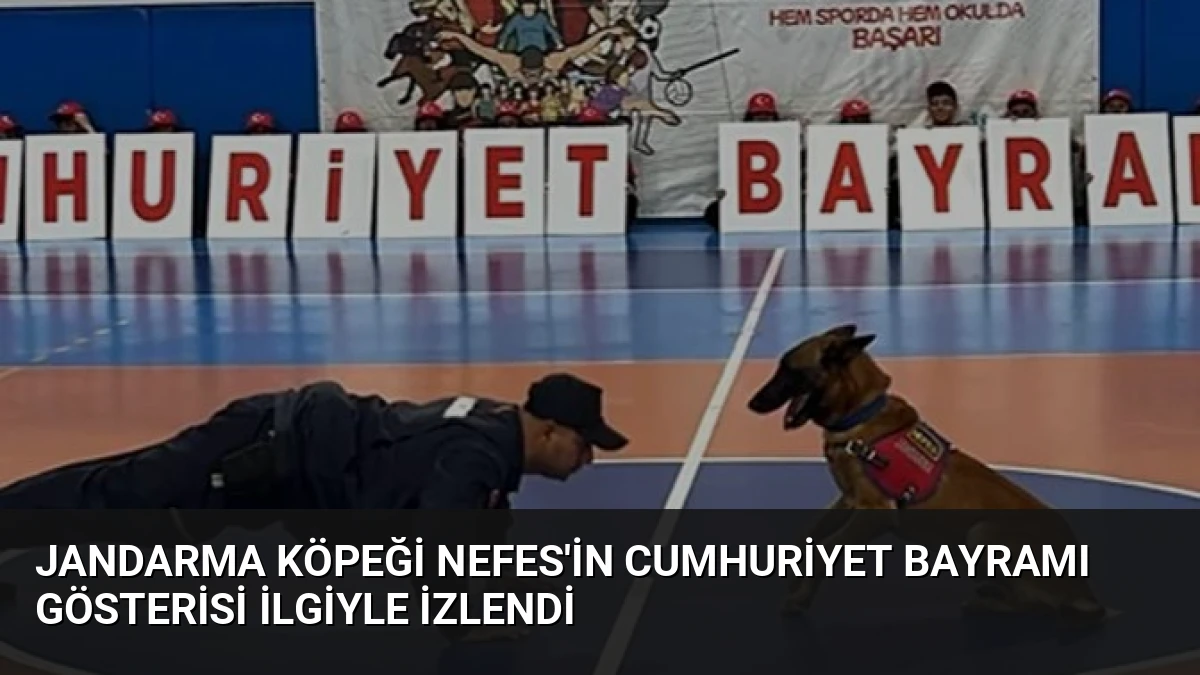 Jandarma Köpeği Nefes’in Cumhuriyet Bayramı Gösterisi İlgiyle İzlendi