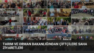 Tarım ve Orman Bakanlığından Çiftçilere Saha Ziyaretleri