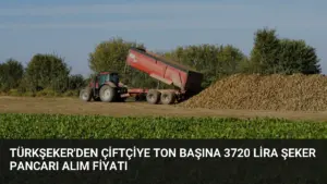 Türkşeker’den Çiftçiye Ton Başına 3720 Lira Şeker Pancarı Alım Fiyatı